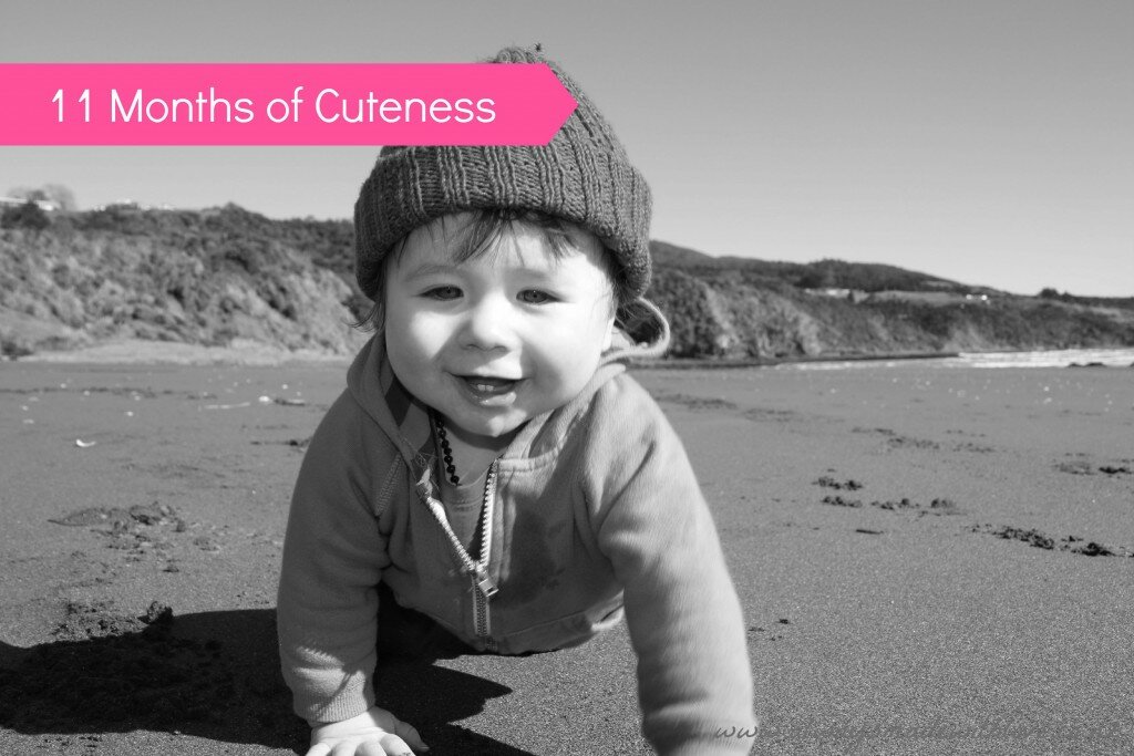 11 Months Of Cuteness